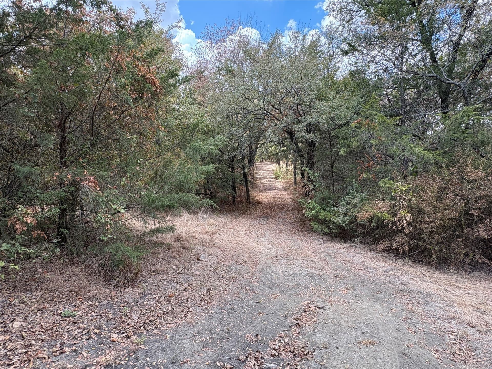 23.49 acres in Navarro County - photo 7
