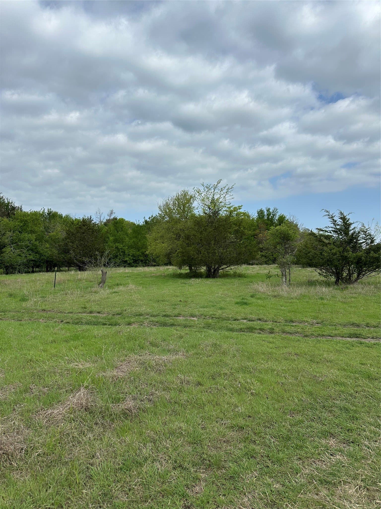 23.49 acres in Navarro County - photo 18