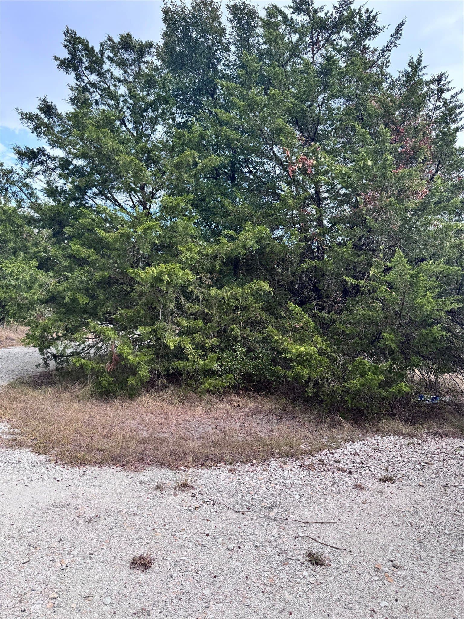 23.49 acres in Navarro County - photo 10