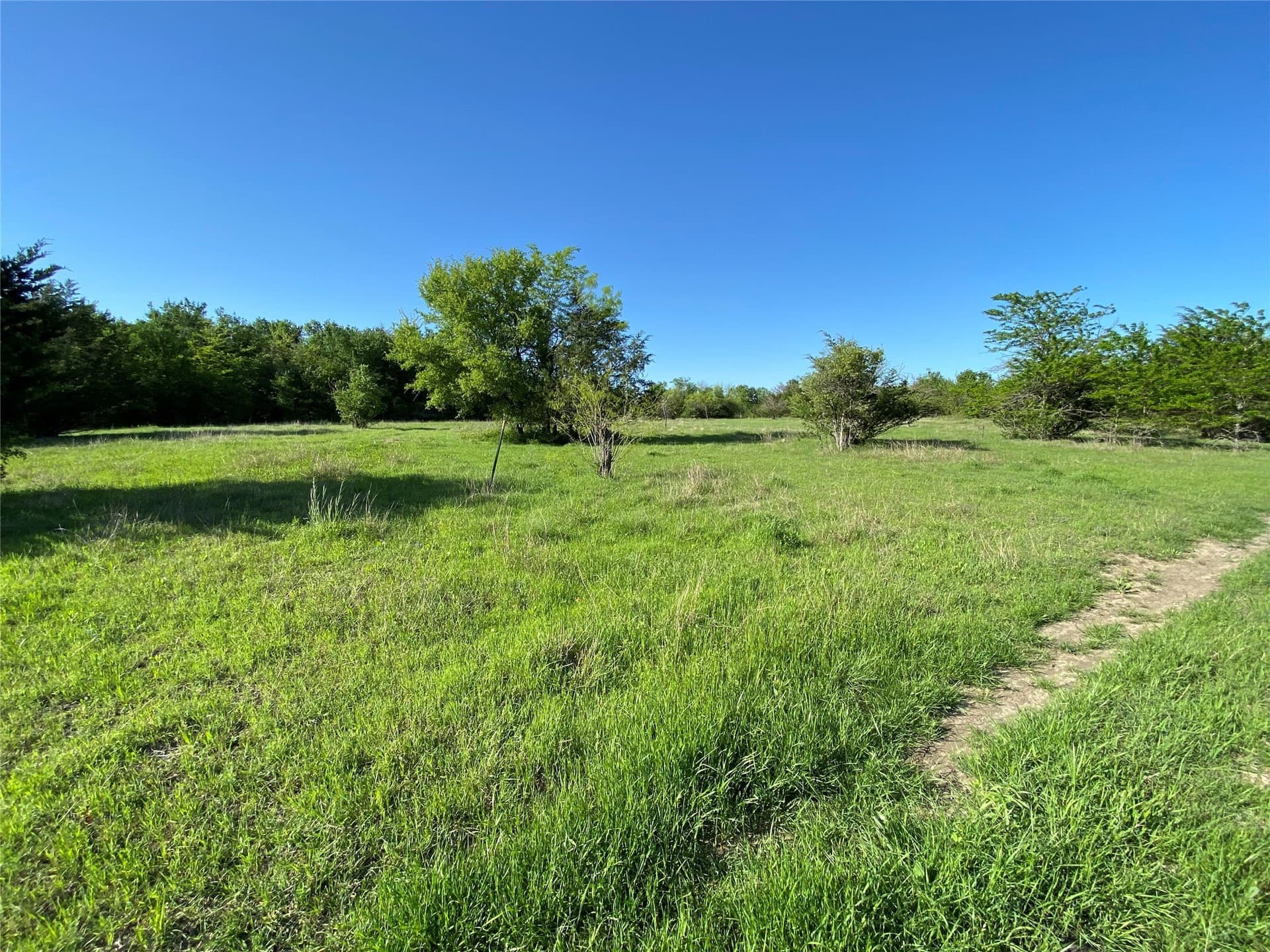 23.49 acres in Navarro County - photo 6
