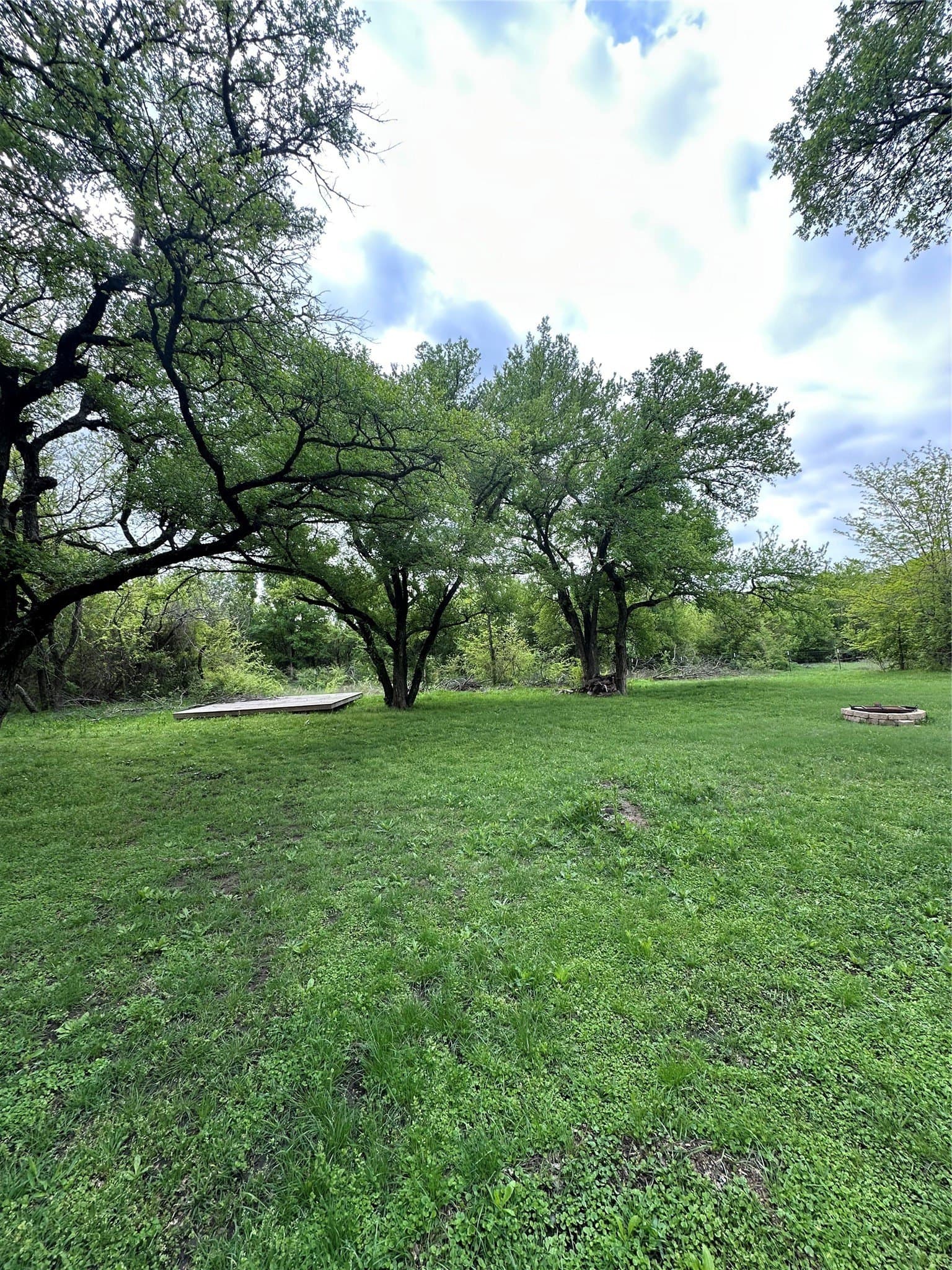 23.49 acres in Navarro County - photo 15