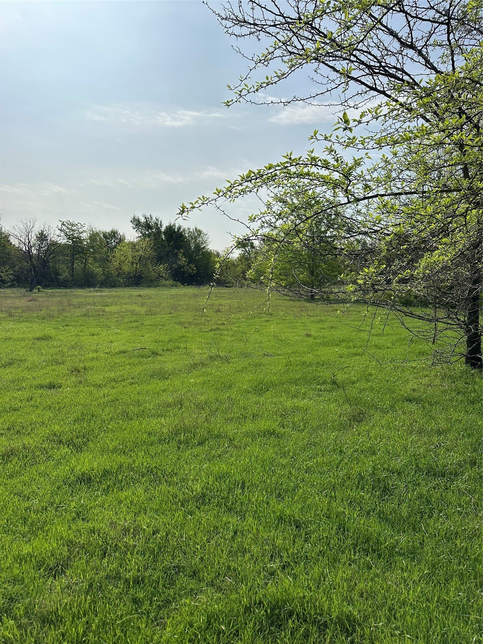 23.49 acres in Navarro County - photo 19