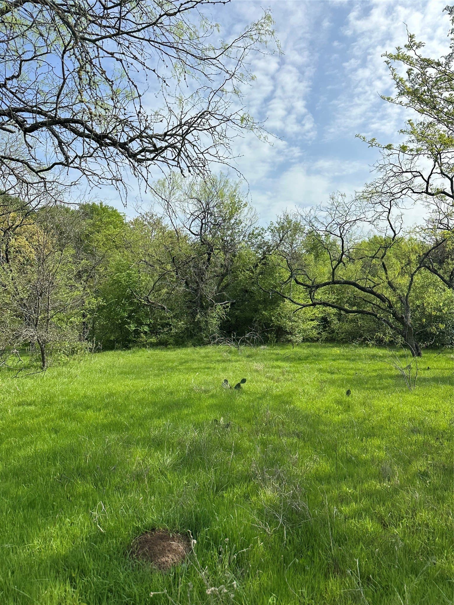 23.49 acres in Navarro County - photo 20