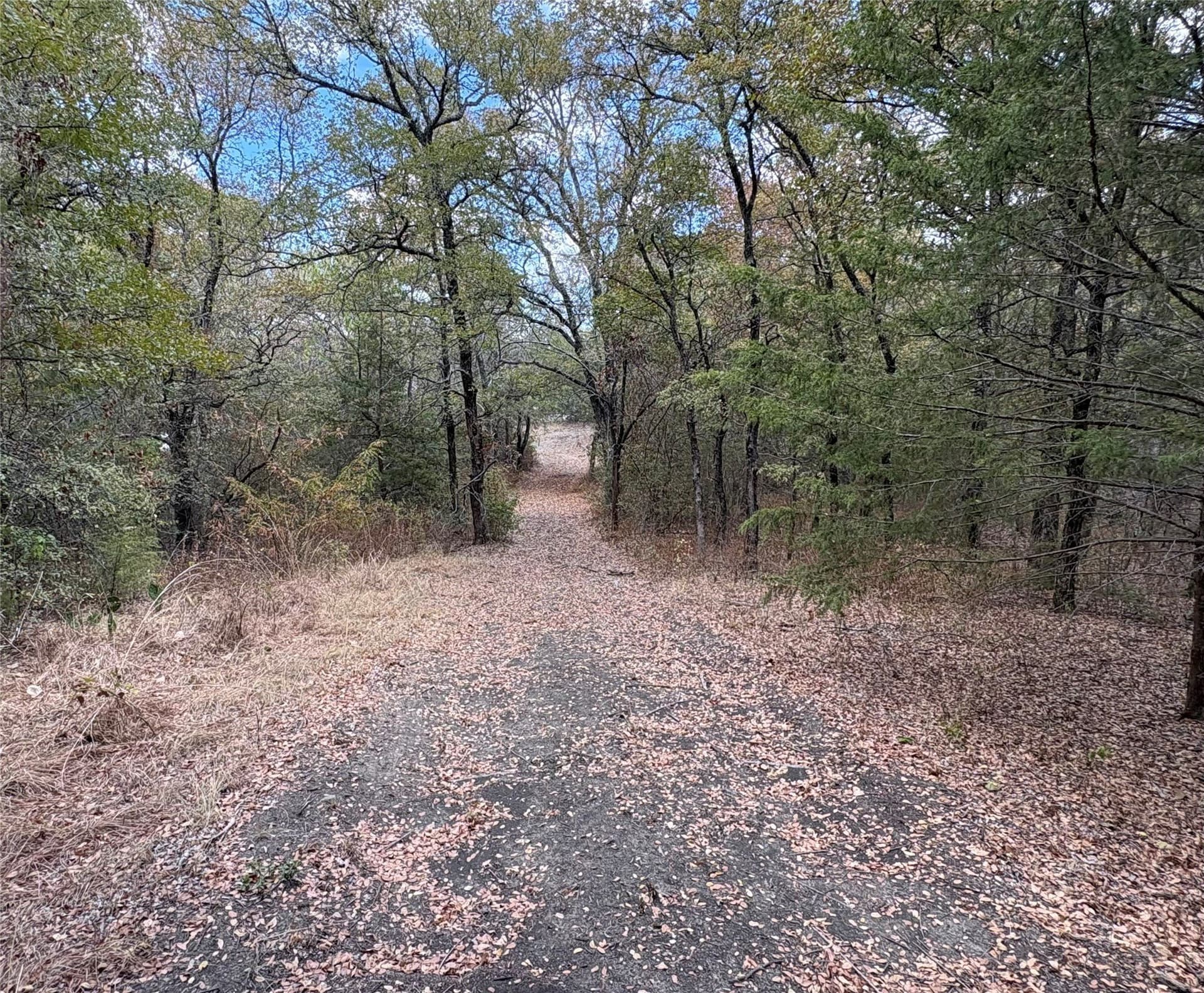 23.49 acres in Navarro County - photo 9