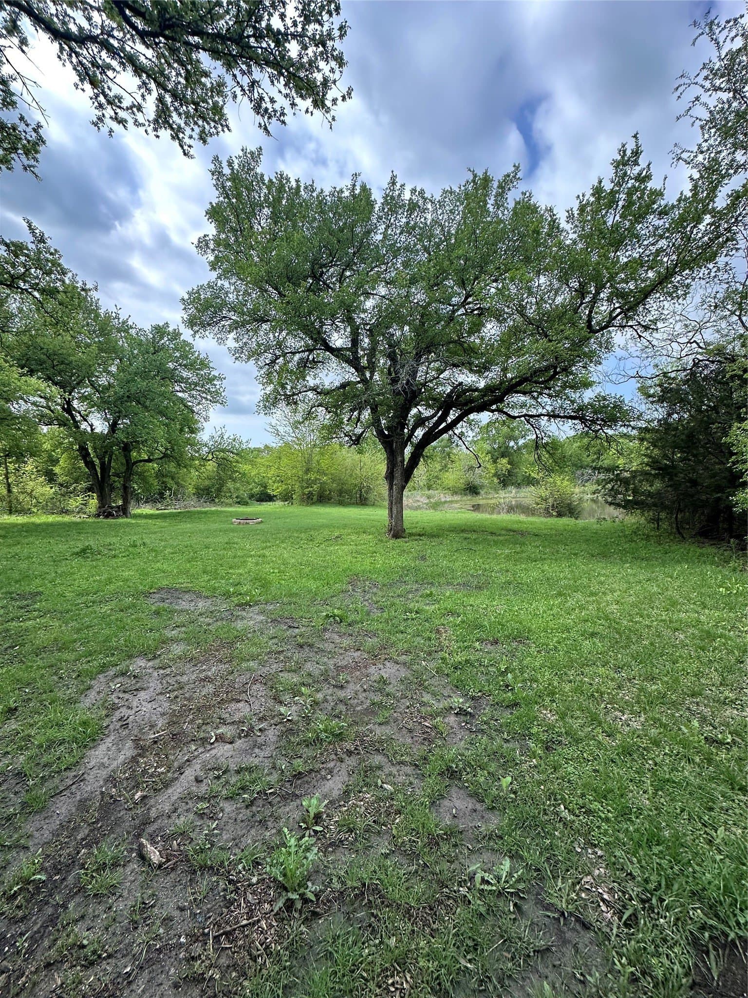 23.49 acres in Navarro County - photo 17