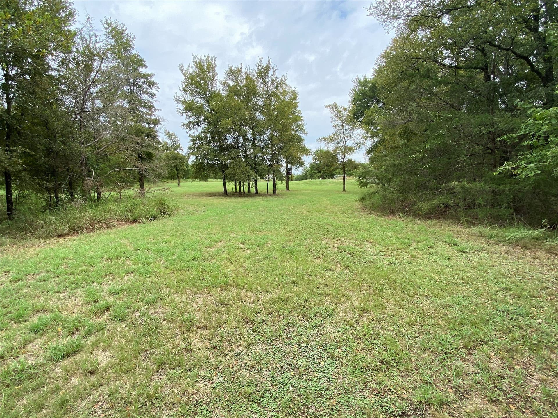 23.49 acres in Navarro County - photo 11