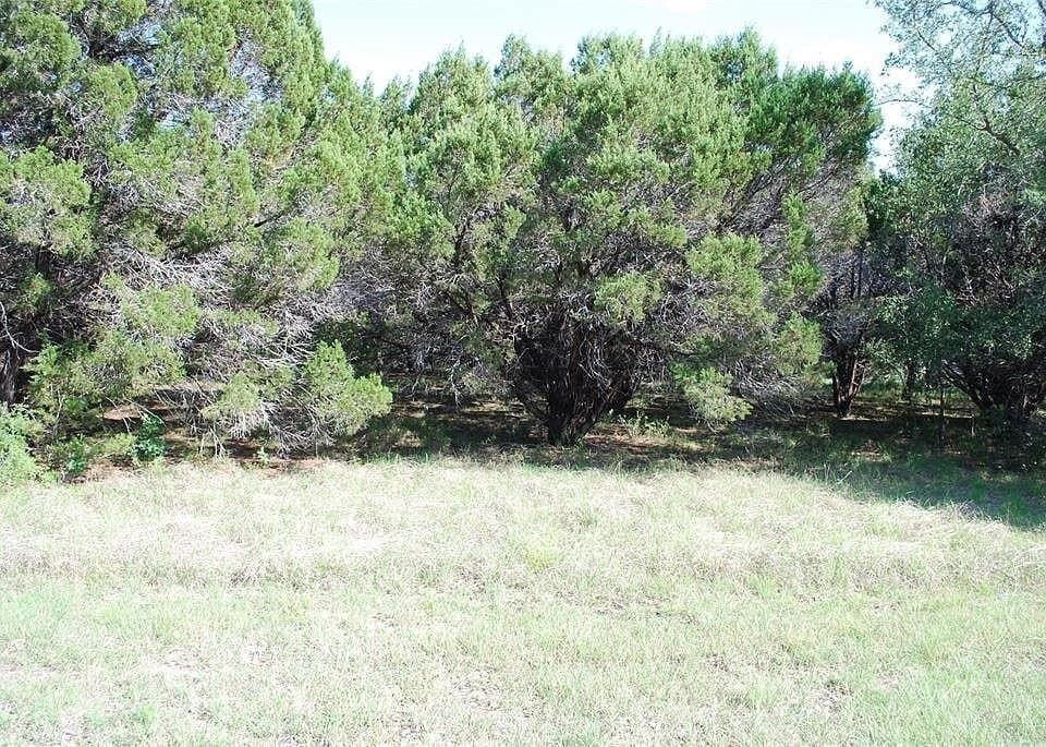 0.17 acres in Hill County - photo 2
