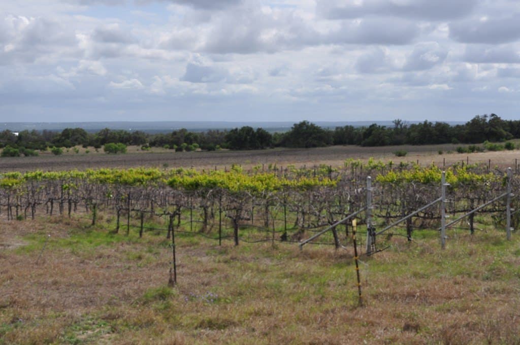 34.84 acres in Gillespie County featured view