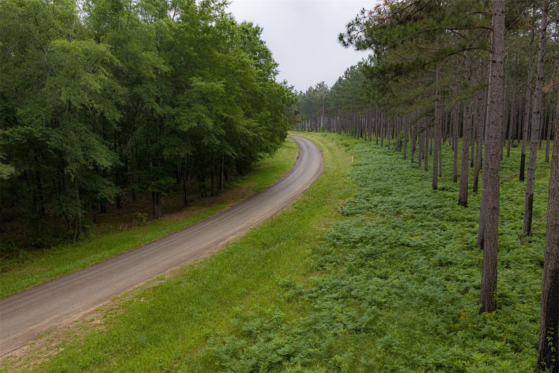 377 acres in Panola County - photo 37