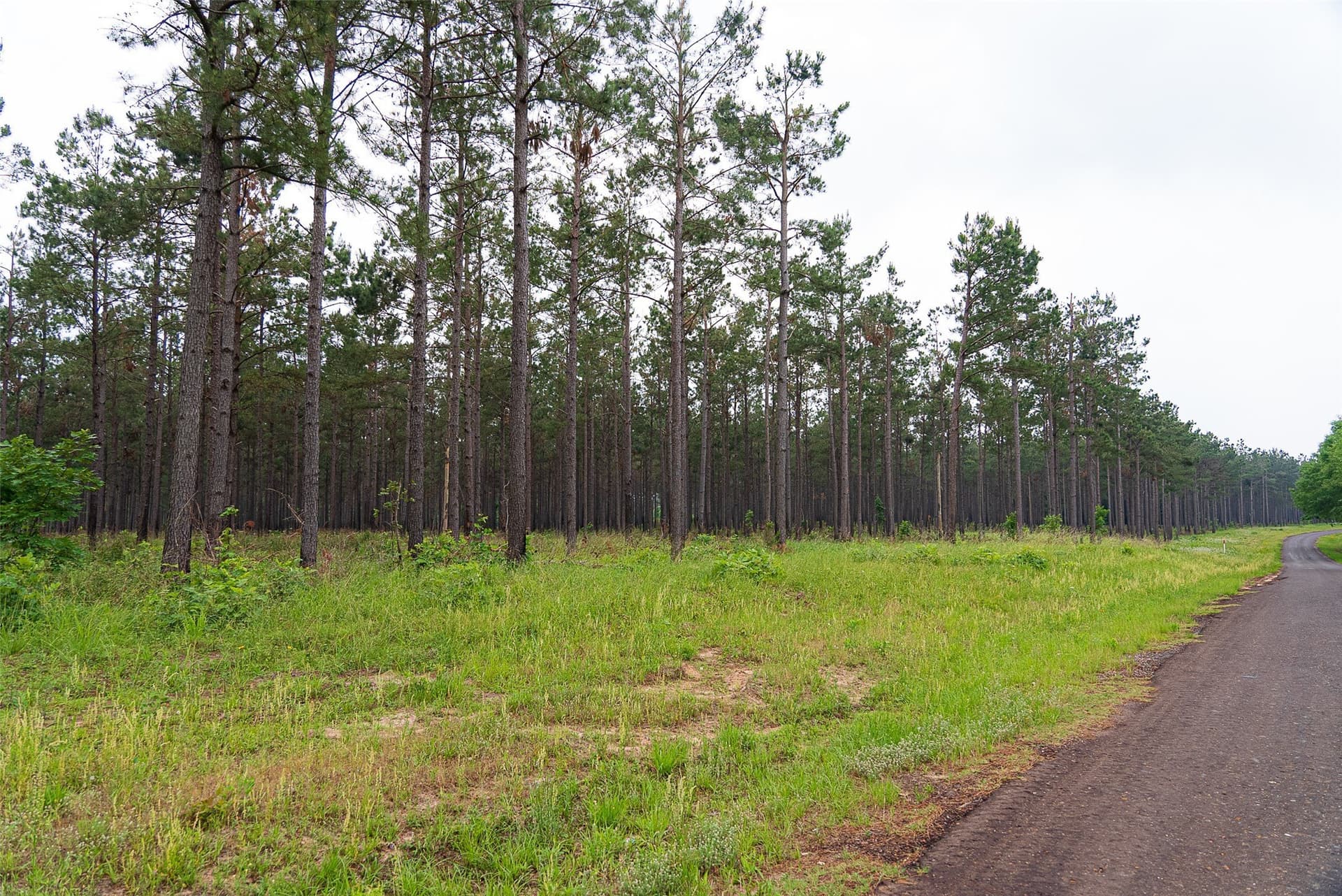 377 acres in Panola County - photo 33