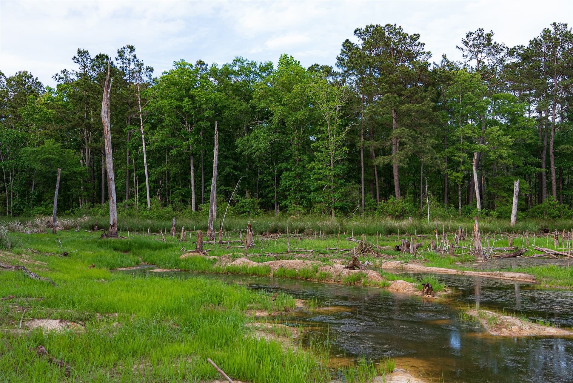 377 acres in Panola County - photo 35
