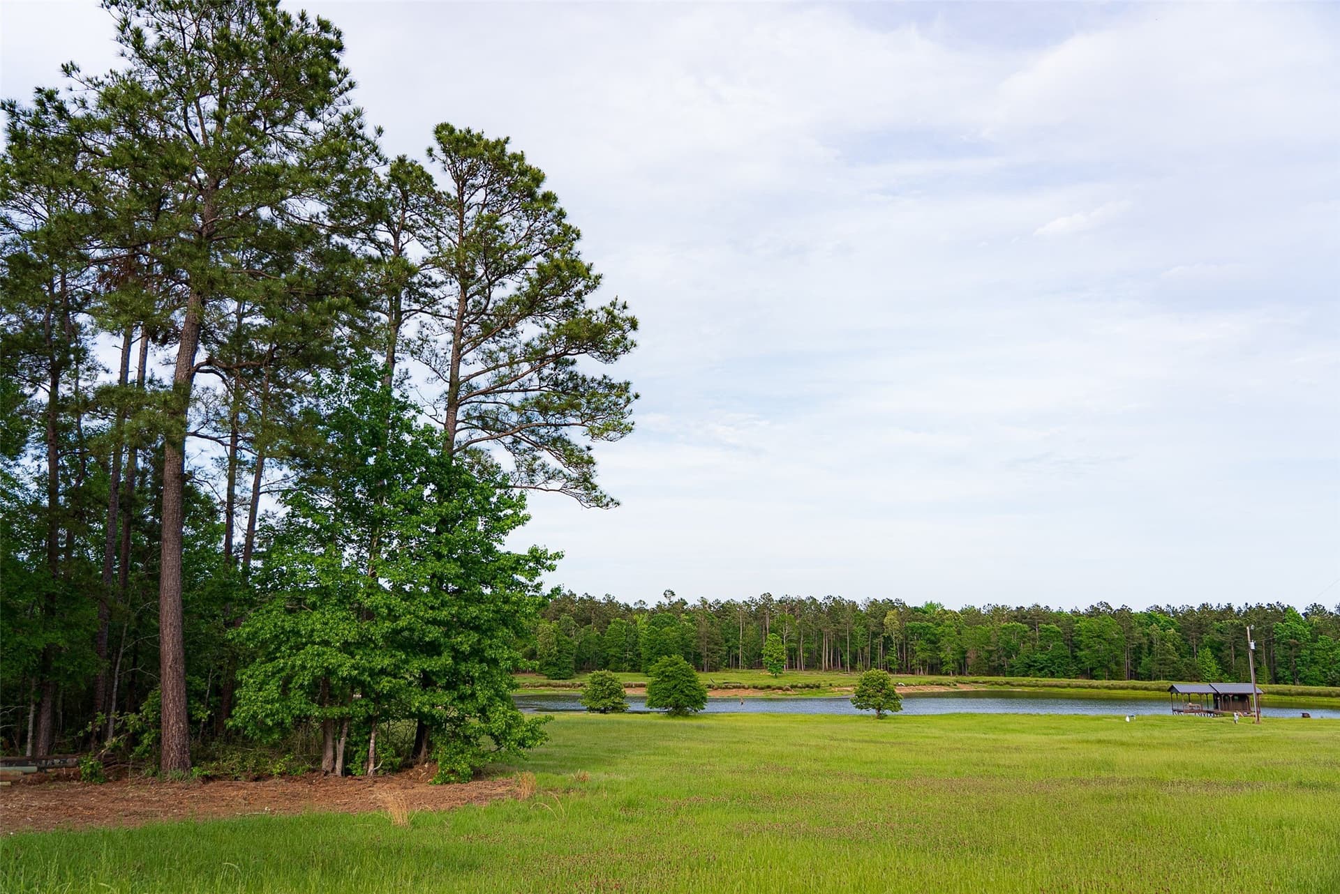 377 acres in Panola County - photo 24