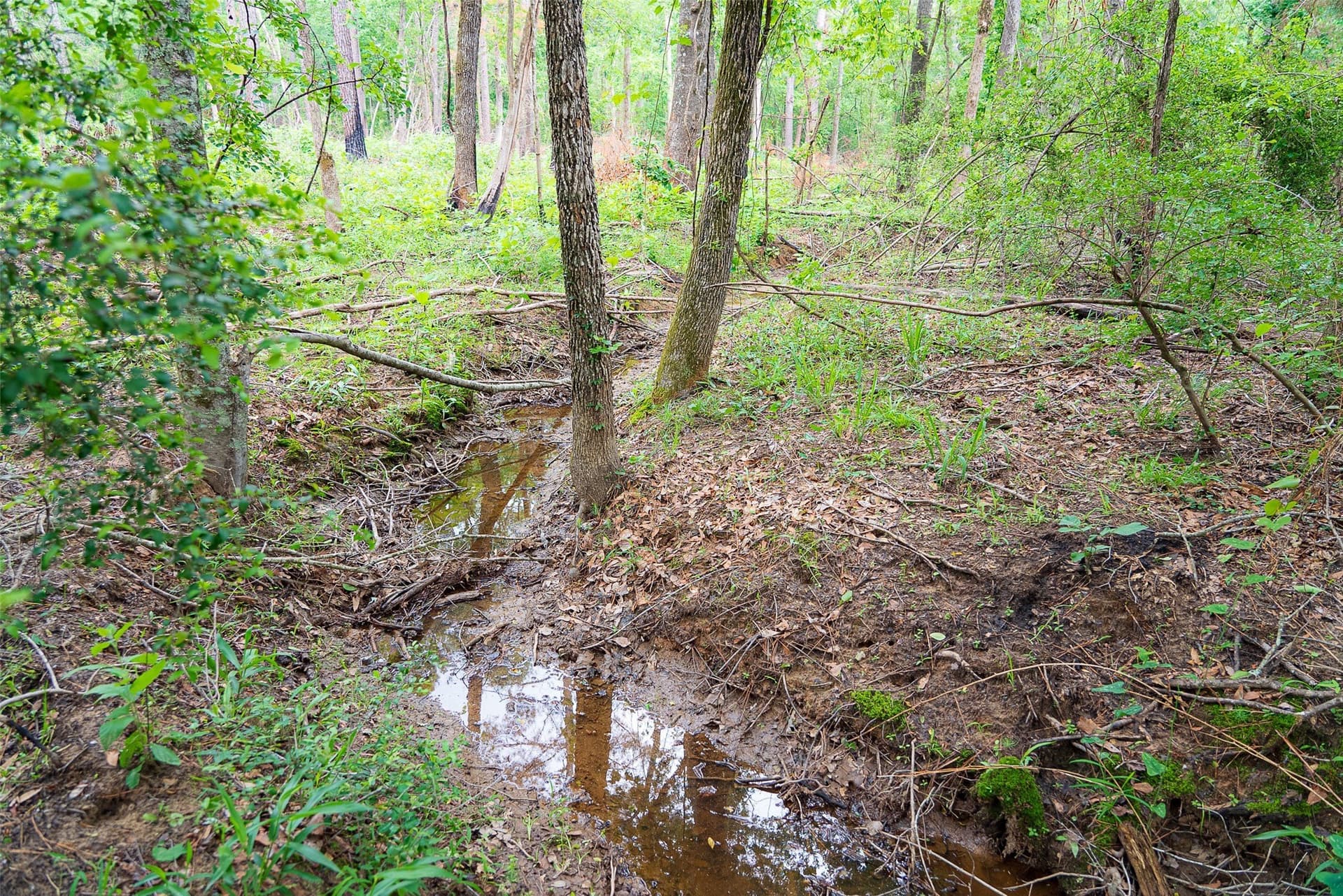 377 acres in Panola County - photo 30