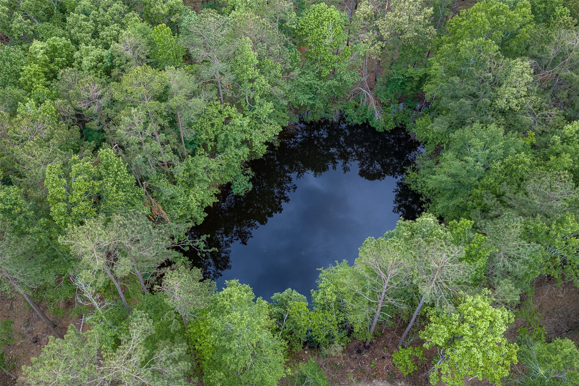 377 acres in Panola County - photo 31