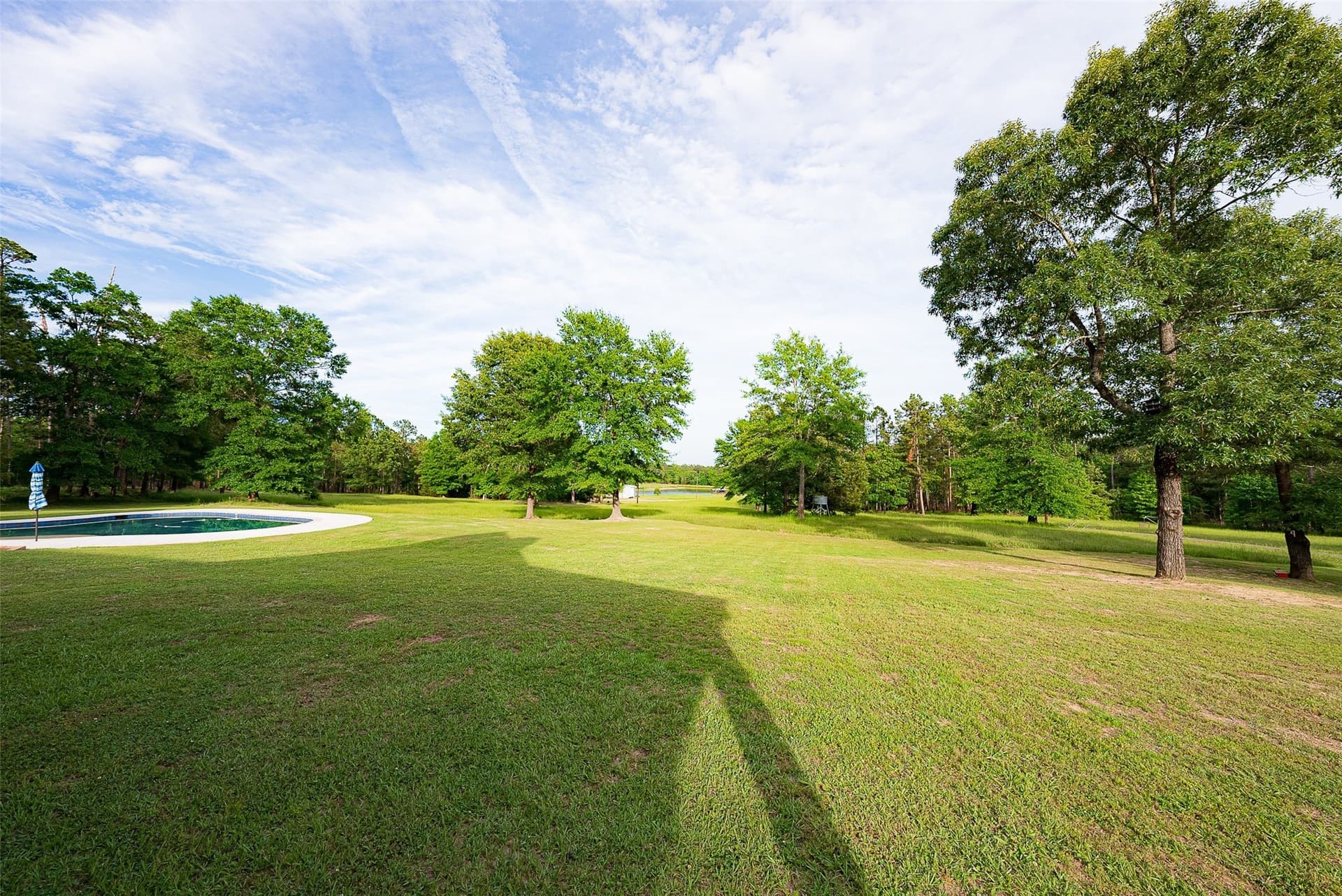 377 acres in Panola County - photo 22