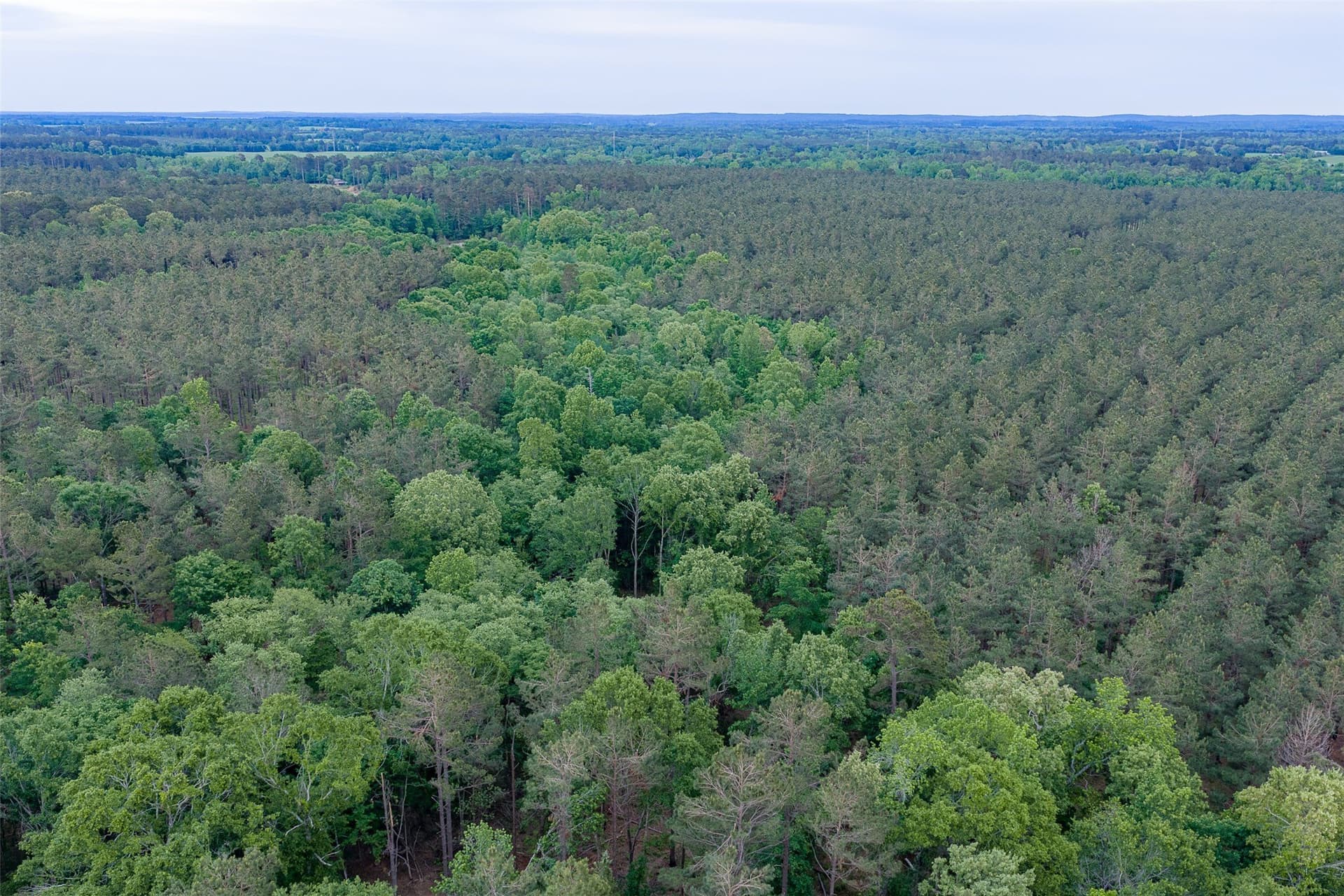 377 acres in Panola County - photo 32