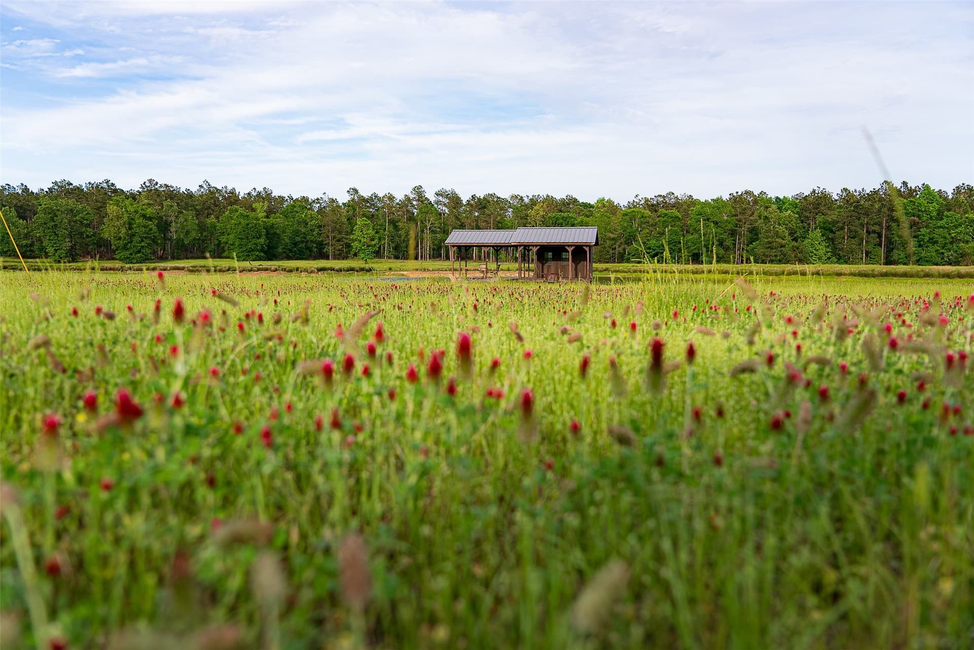 377 acres in Panola County gallery image 2