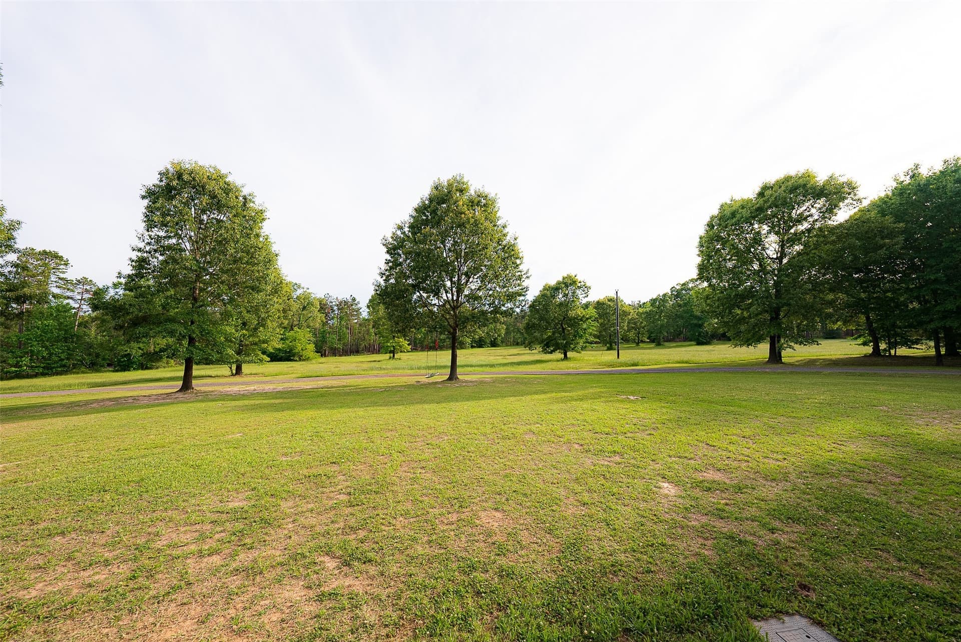 377 acres in Panola County - photo 20