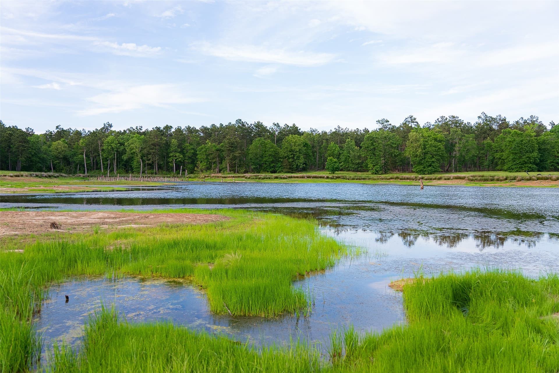 377 acres in Panola County - photo 34