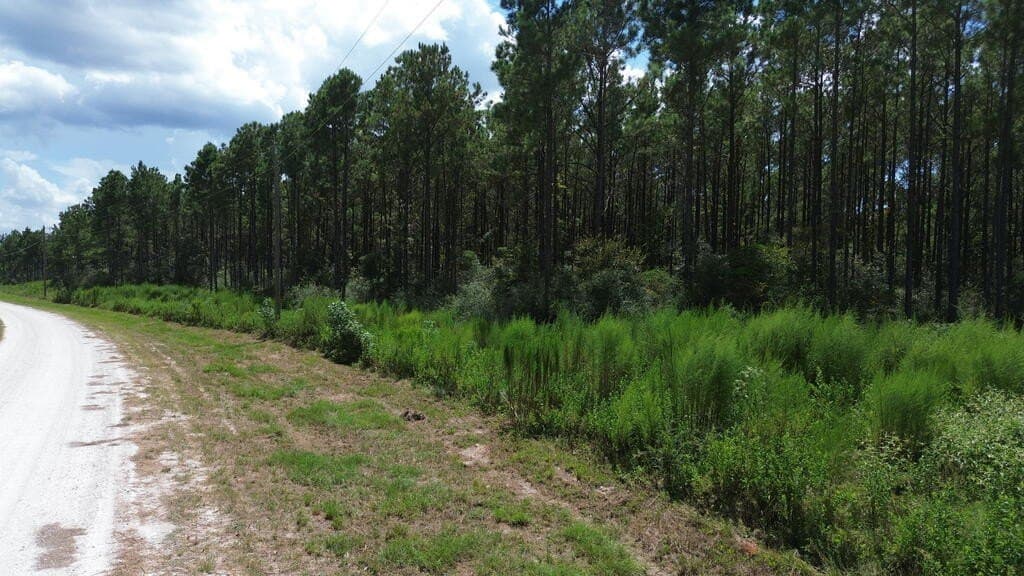 22.69 acres in Texas County - photo 15