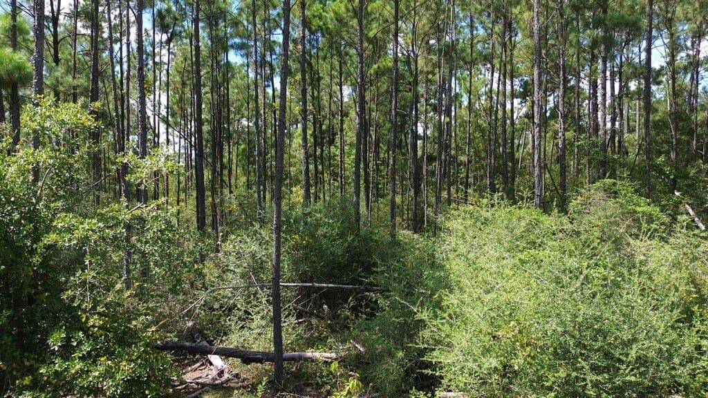 22.69 acres in Texas County - photo 13