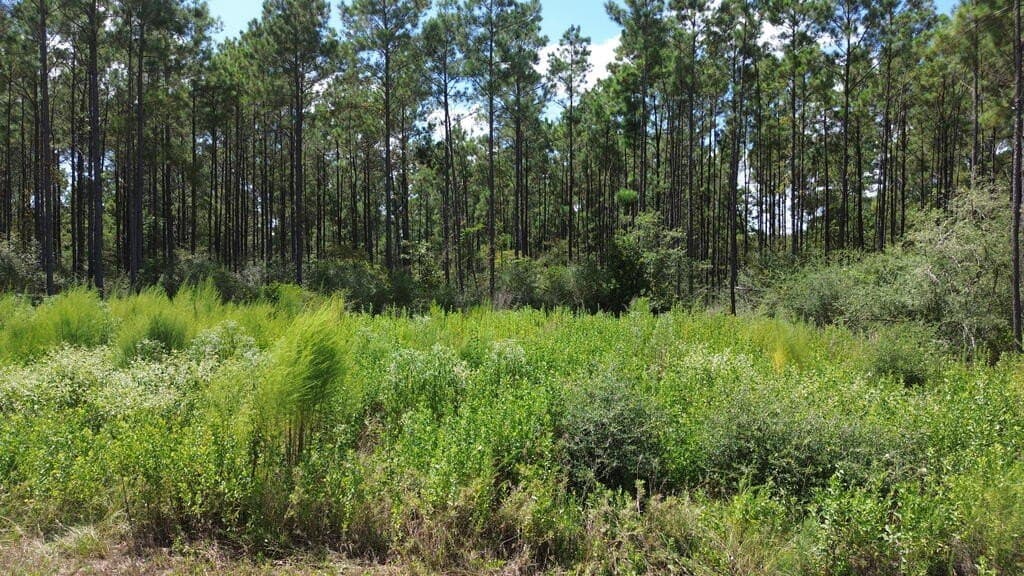 22.69 acres in Texas County - photo 18