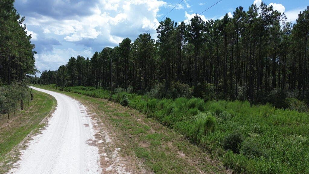 22.69 acres in Texas County - photo 4