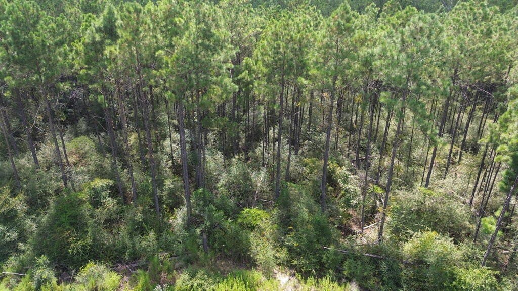 22.69 acres in Texas County - photo 9