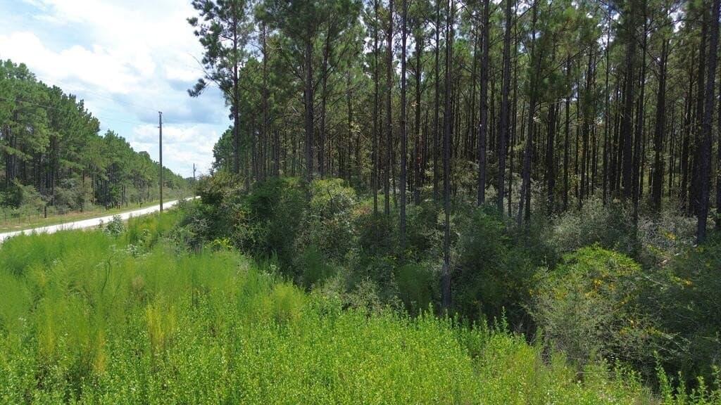 22.69 acres in Texas County - photo 14