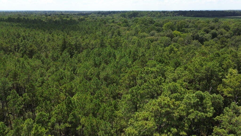 22.69 acres in Texas County - photo 6