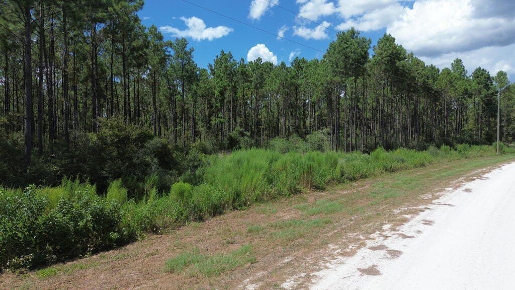 22.69 acres in Texas County - photo 16