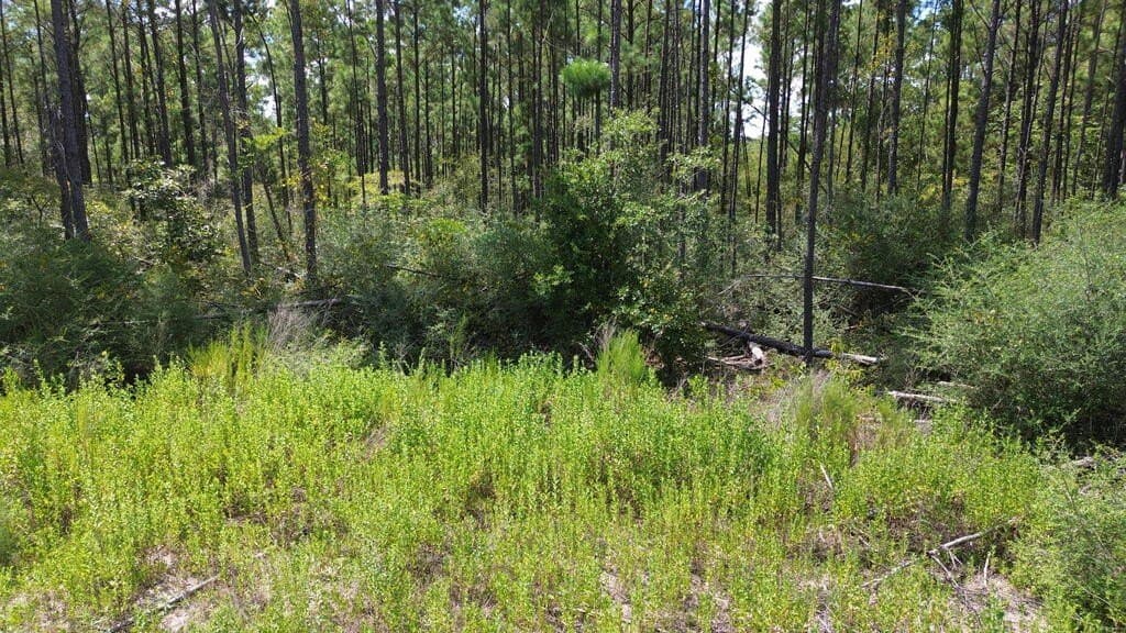 22.69 acres in Texas County - photo 12