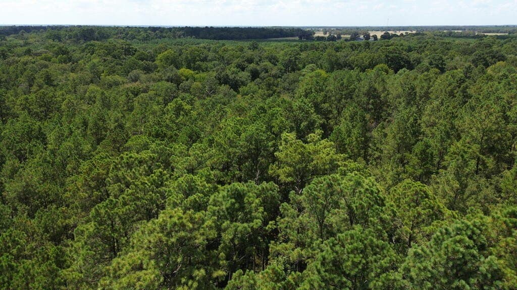 22.69 acres in Texas County - photo 7