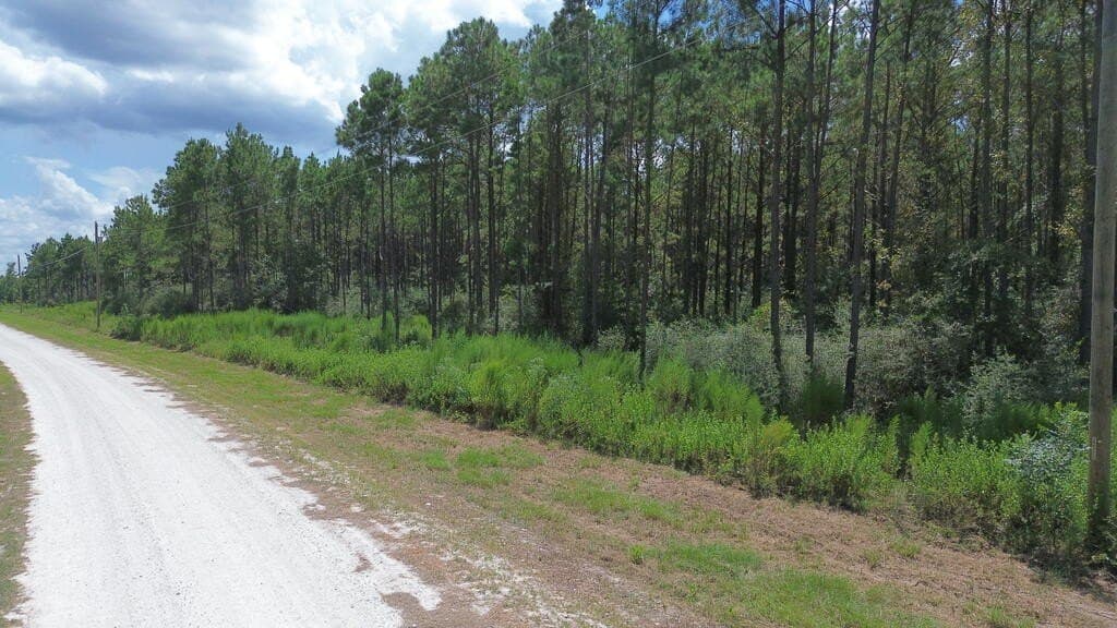 22.69 acres in Texas County - photo 17