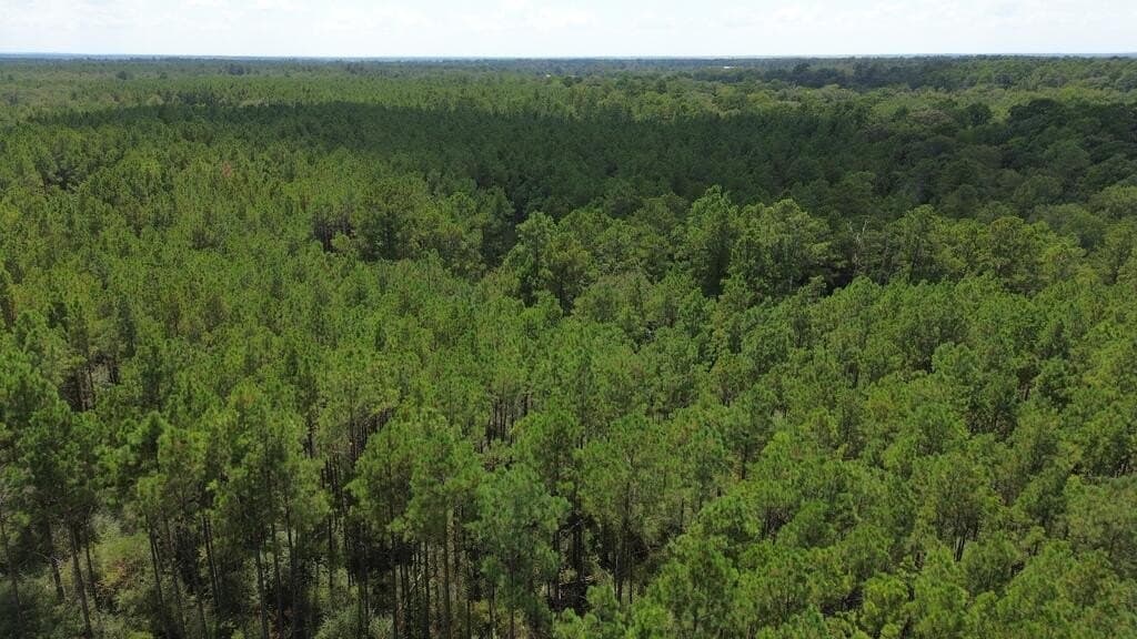 22.69 acres in Texas County - photo 8