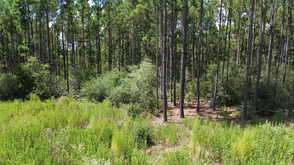 22.69 acres in Texas County - photo 19