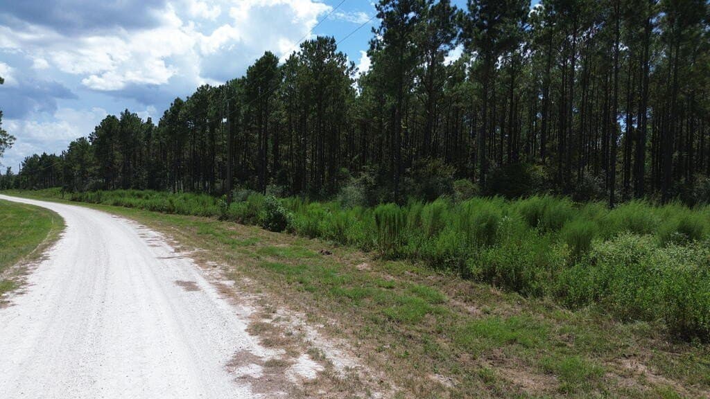 22.69 acres in Texas County - photo 5