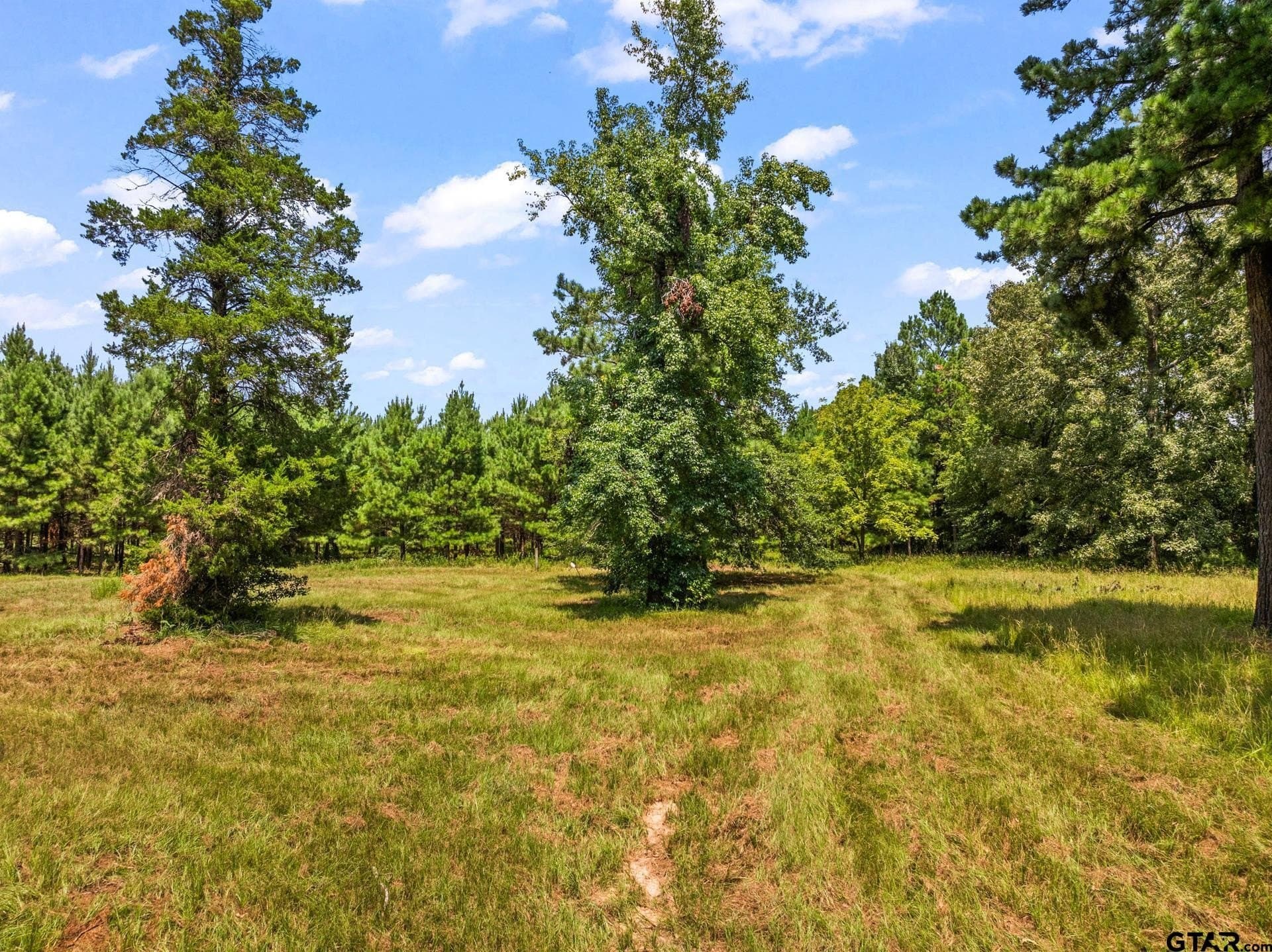 12.41 acres in Camp County - photo 9