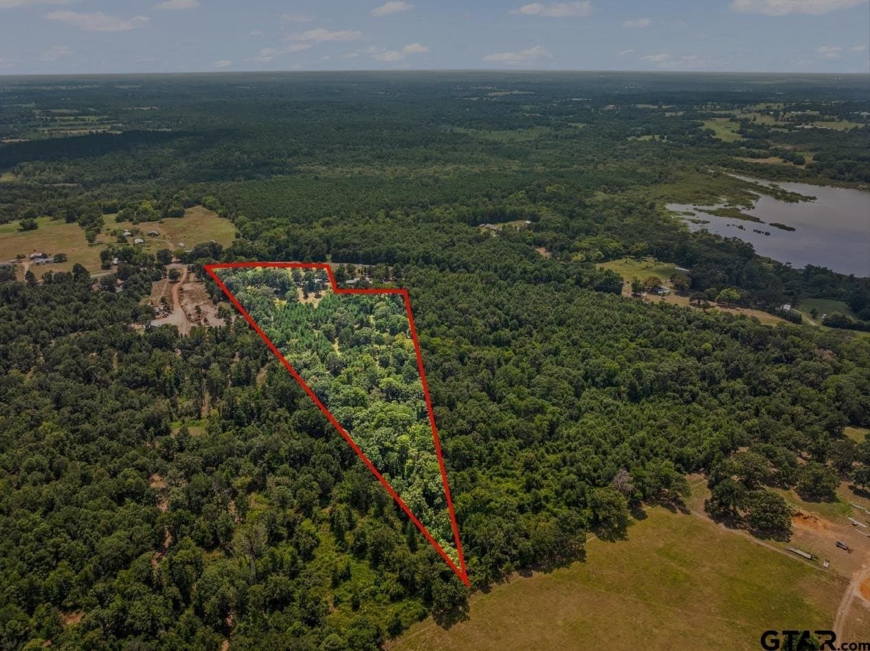 12.41 acres in Camp County - photo 22