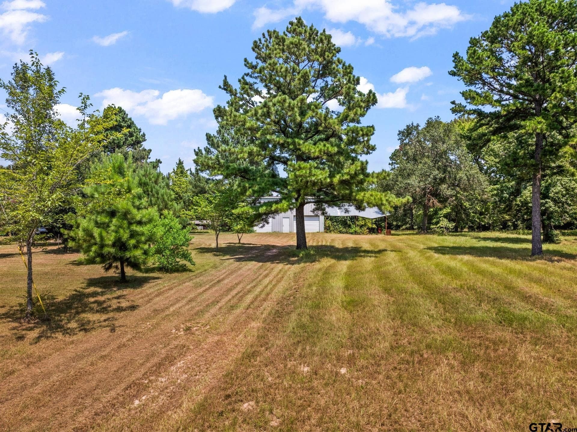 12.41 acres in Camp County - photo 6