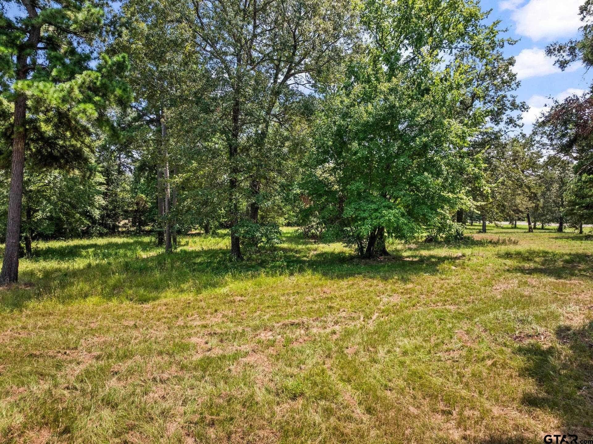 12.41 acres in Camp County - photo 10