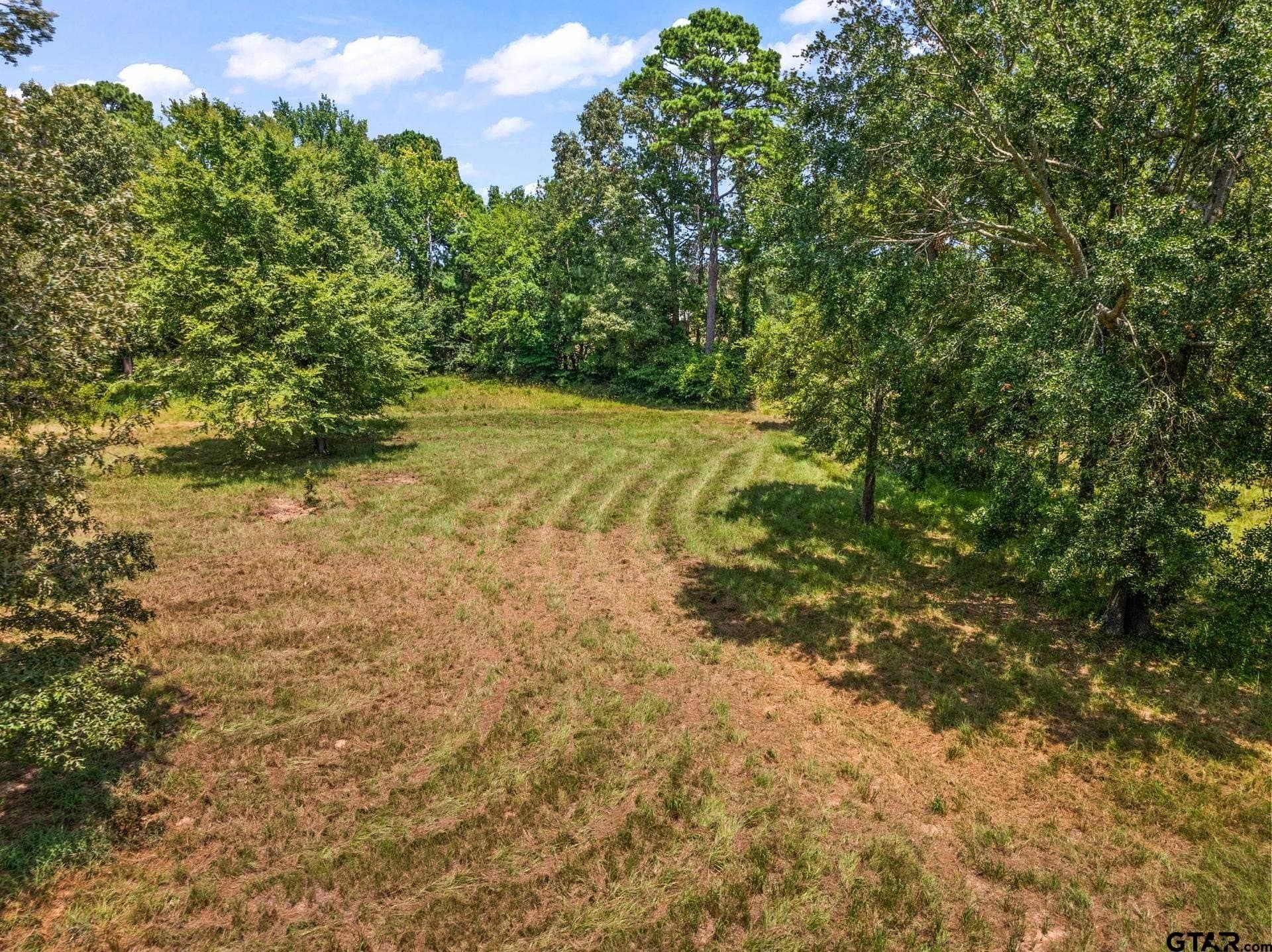 12.41 acres in Camp County - photo 13