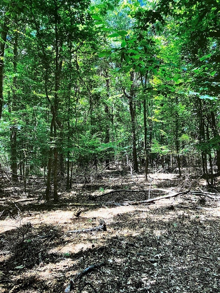 3.27 acres in Texas County - photo 10