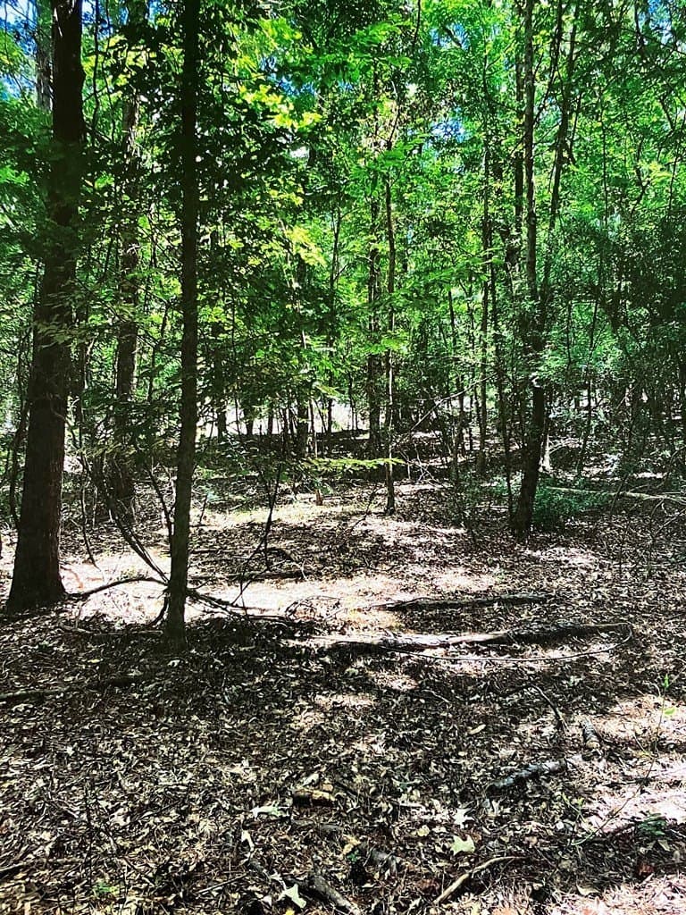 3.27 acres in Texas County - photo 12