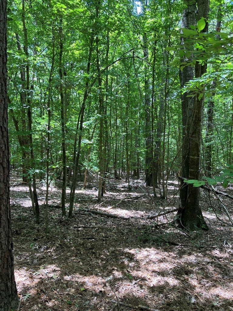 3.27 acres in Texas County - photo 7