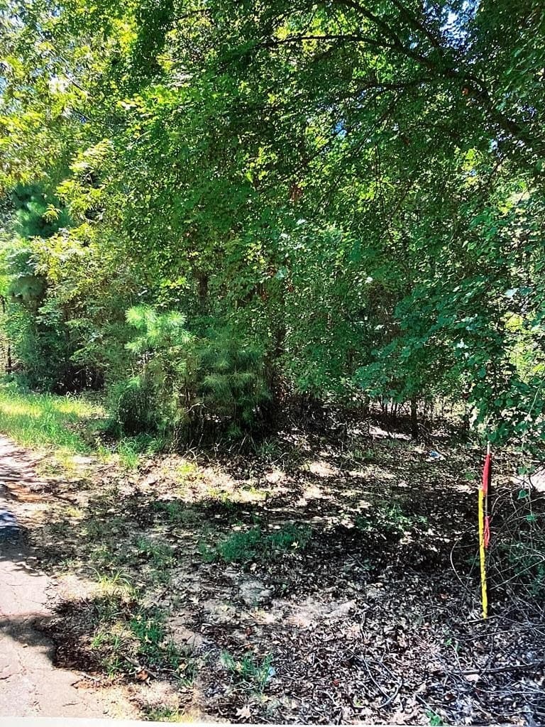 3.27 acres in Texas County - photo 2