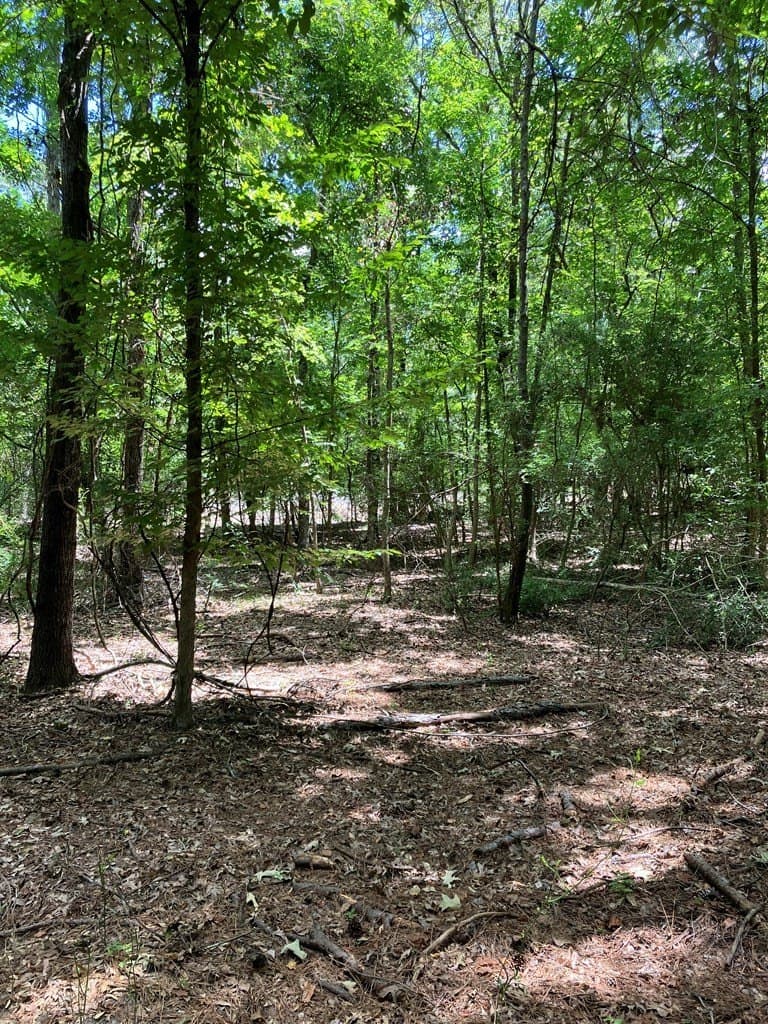 3.27 acres in Texas County - photo 8