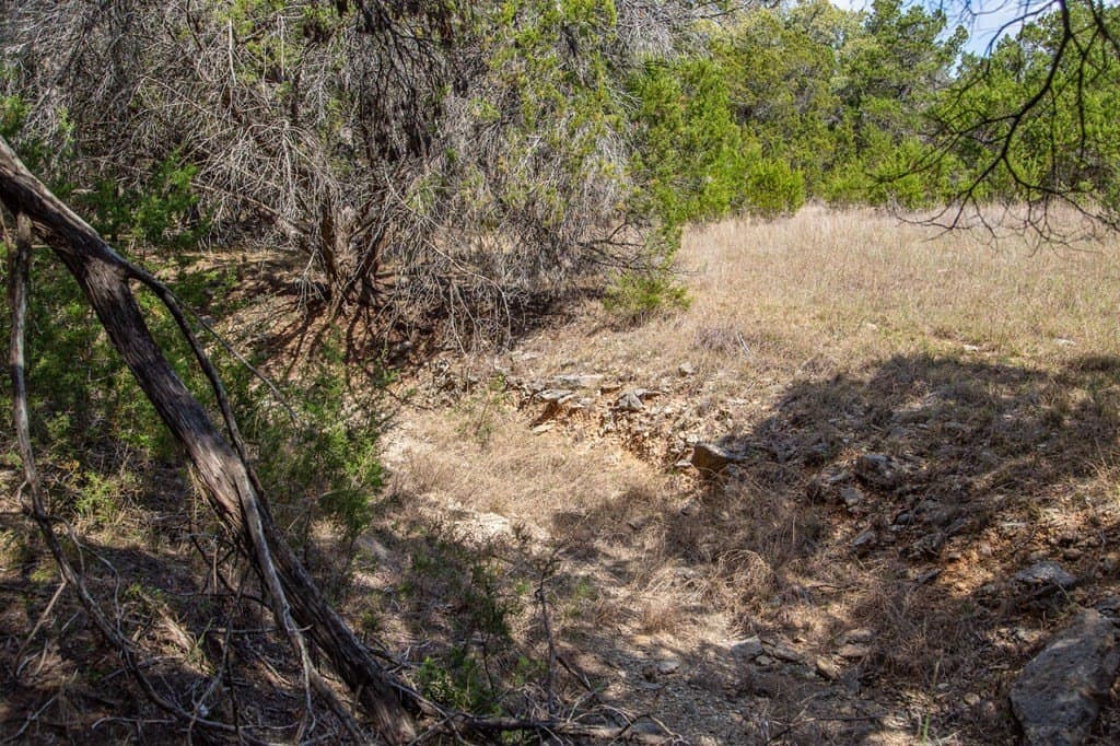 59.19 acres in Comal County - photo 39