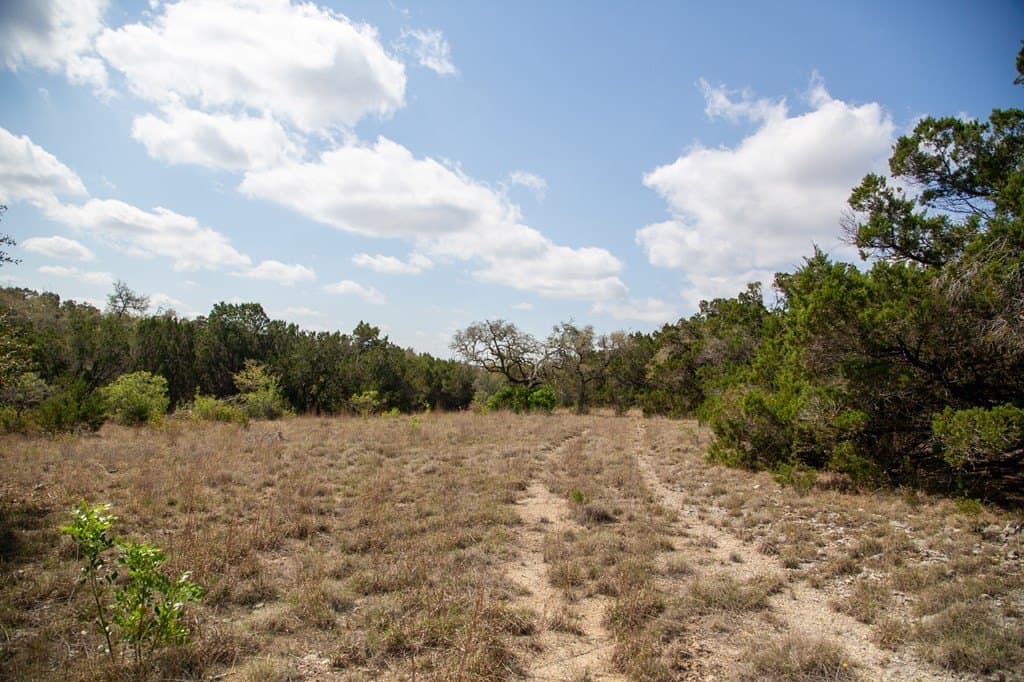 59.19 acres in Comal County - photo 33