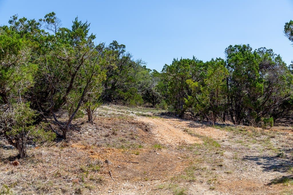 59.19 acres in Comal County - photo 41